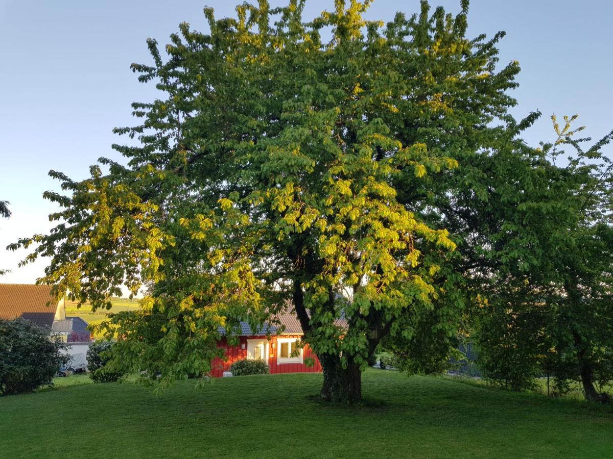 Ferienhaus Loeh Kleinmaischeid Exteriör bild