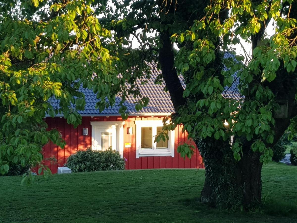 Ferienhaus Loeh Kleinmaischeid Exteriör bild