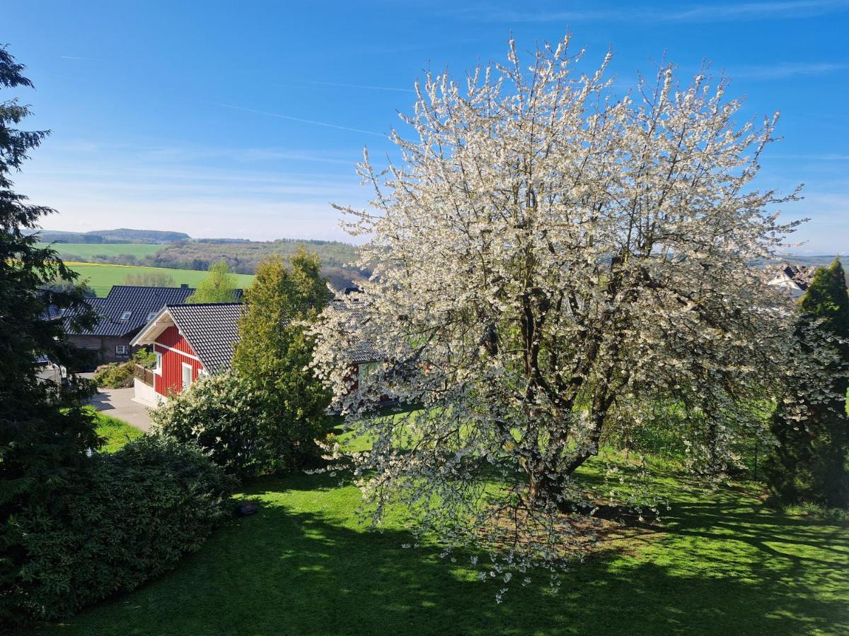 Ferienhaus Loeh Kleinmaischeid Exteriör bild